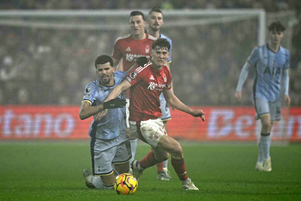 网友称赞 网友称赞